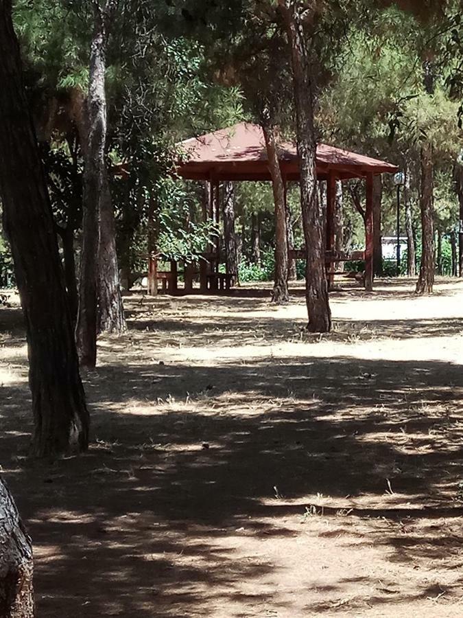 Athens 140 Apartment Bagian luar foto